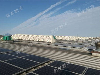 寧波金田銅業(yè)（集團）股份有限公司